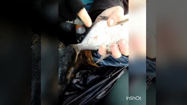 Рыбалка на кольцо смотреть онлайн