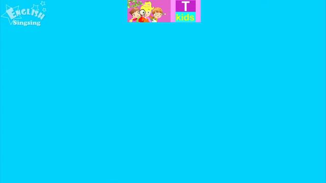 English - Vocabulary - P