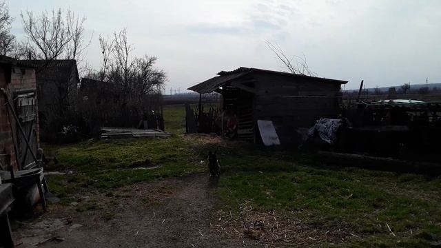О ЮТУБе, подписках, спаме и просмотрах. О там как правильно надо подписываться на каналы. Дружим! смотреть онлайн