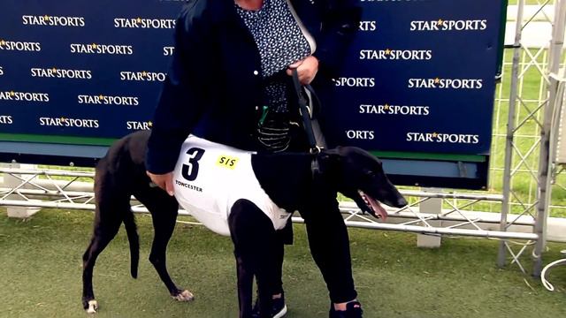 GREYHOUND DERBY - ROUND 1 HEAT 12 - T3 PART BLAKE смотреть онлайн