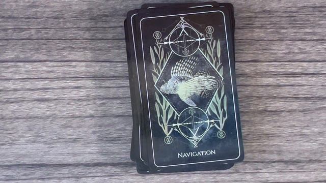 Tarot & Oracle Deck Haul | November 2023 смотреть онлайн