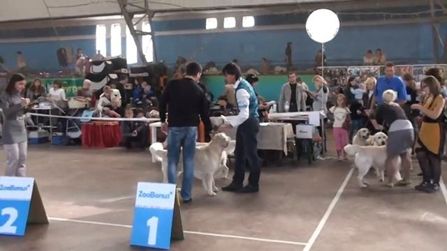 Выставка CAC Канис, октябрь 2012.mpg