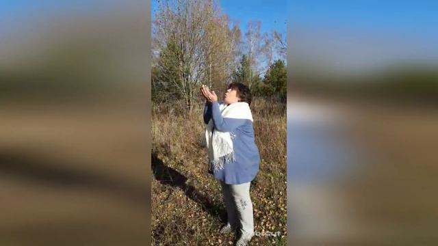 Стихотворение Татьяны Артемьевой "Как мне осень не любить?" смотреть онлайн