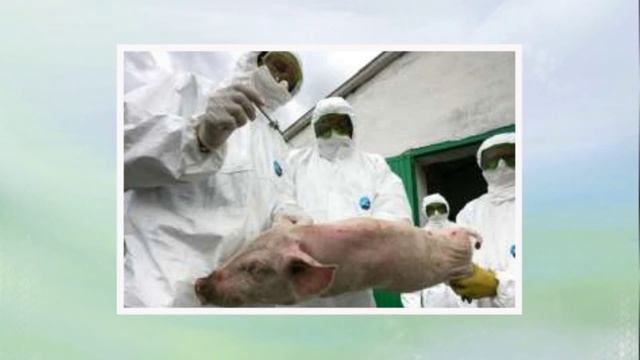 Ветеринары