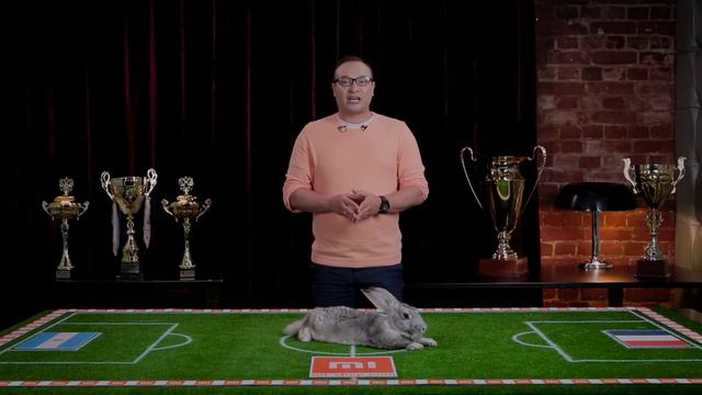 Франция или Аргентина? Кролик-оракул Сёма делает выбор смотреть онлайн