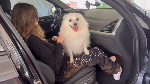 Собрали посылку в Россию смотреть онлайн