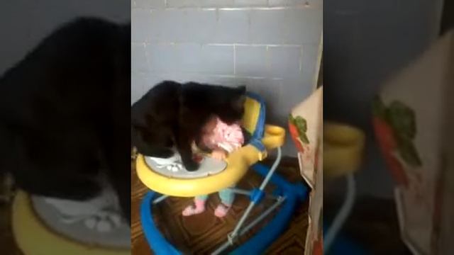 Кошка кусает ребёнка