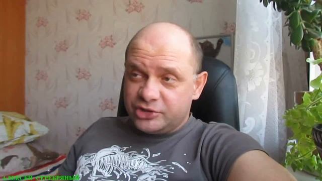 АНЕКДОТ ПРО ЛИСУ И ОБЕЗЬЯНУ. ЖИЗНЕННЫЙ АНЕКДОТ. смотреть онлайн