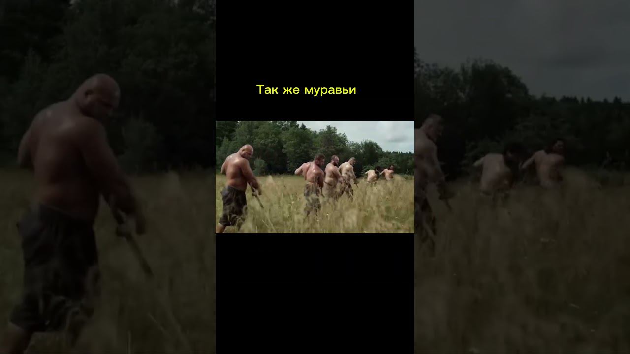 Муравьи простите Поставь комментарий и напиши лайк ❤️ смотреть онлайн