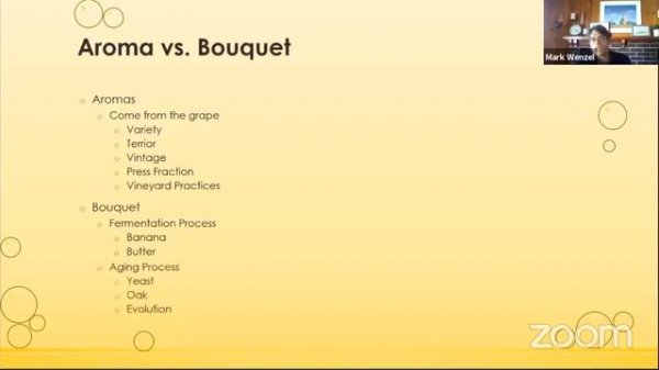 Fizz Fanatic Fun: The Bubble