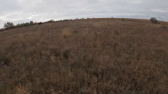#Охота на зайца. Открытие позади. смотреть онлайн