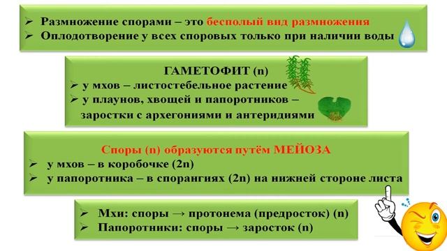 Жизненные циклы растений: теория + практика (№27 задания ЕГЭ). смотреть онлайн