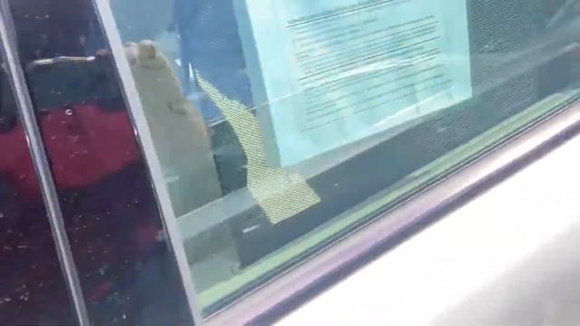 2004 Mercedes-Benz E320 4Matic Walkaround смотреть онлайн