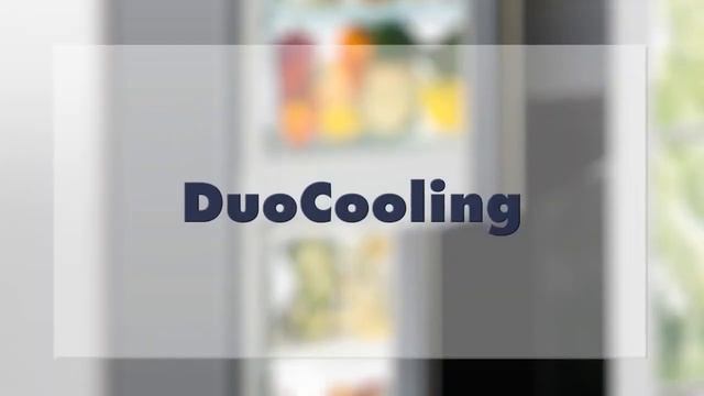 Холодильная техника Liebherr  отличительные черты и технологии