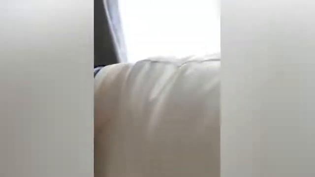 смешные животные и тд 2021 года смотреть онлайн