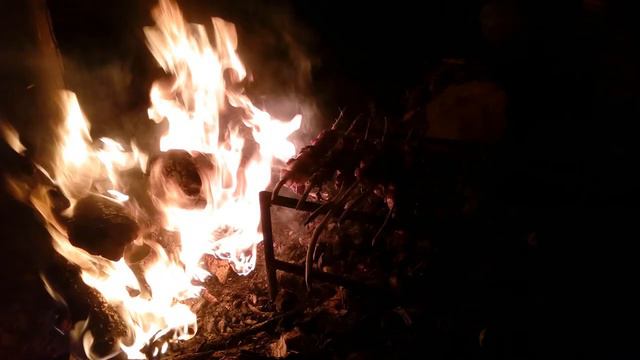 поездка на рыбалку смотреть онлайн