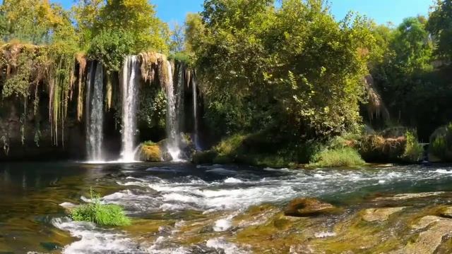 Музыка для сна и релакса смотреть онлайн