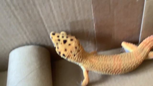 12-08-2024 смотреть онлайн