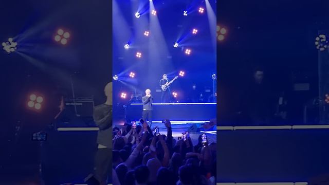 SHAMAN - Спасибо Crocus City Hall 13.03.2023 смотреть онлайн