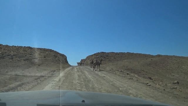 Пыльными дорогами Казахстана. Шеркала - Конкреции - Абаста
