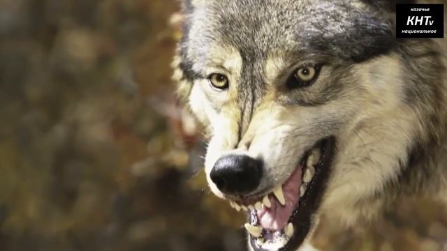 Слова прям в самую глубь сердца. смотреть онлайн