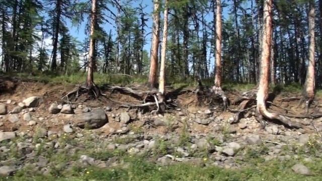 р.Чериндохон - р.Котуй 2015 (1) смотреть онлайн