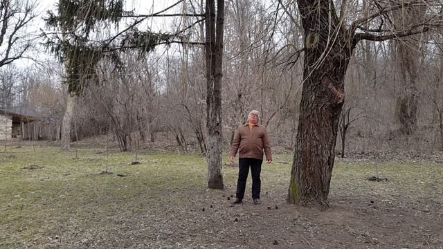 СТУЧАТ КОЛЁСА смотреть онлайн