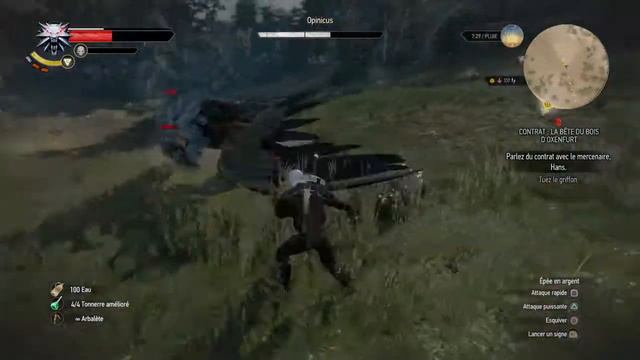 The Witcher 3: Archigriffon Lvl35 Mort Au Lvl 23