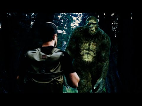 Surrounded by Bigfoot смотреть онлайн
