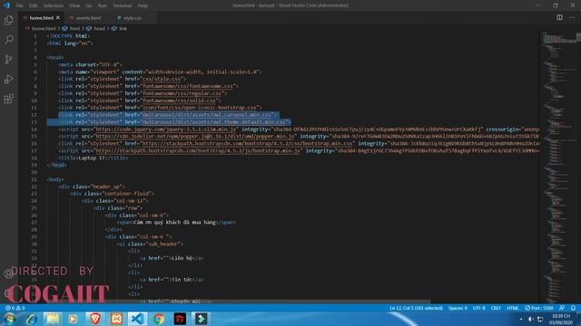How to use owl carousel javascript | easy to use it if you were just learning about javascript смотреть онлайн