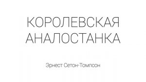 Королевская аналостанка
