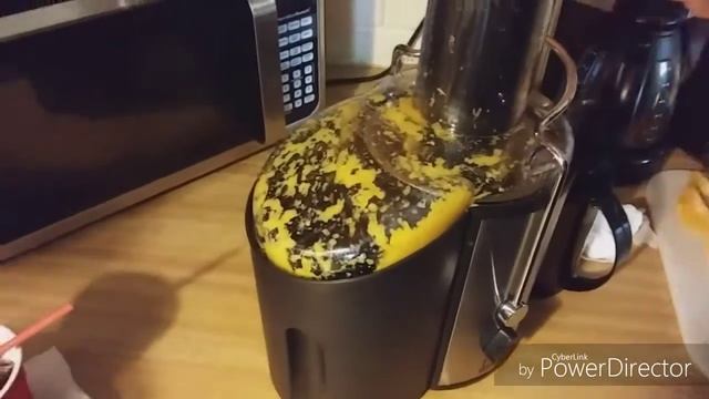 FIRST TIME USING A JUICER!!! JUICING WITH MAMA AND PAPA BEAST!!! смотреть онлайн