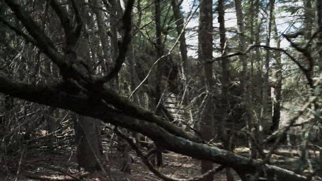 My Search For An Abandoned Fort From 1810 | Will I Find It?【4K】