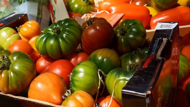 Как хранить помидоры смотреть онлайн