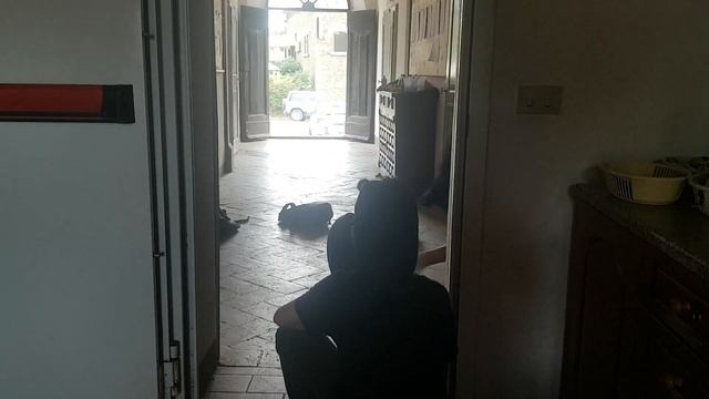 Гарри Поттер и Непобедимая сила духа (2019) смотреть онлайн