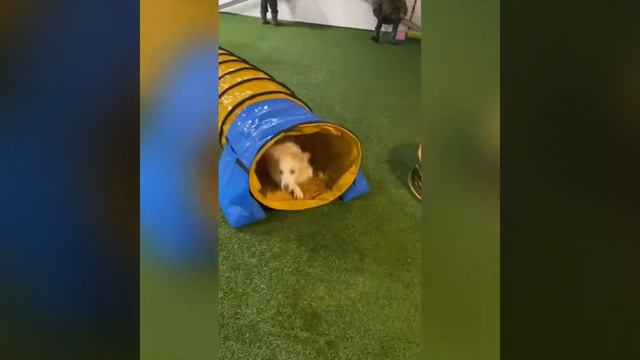 Наш дом смотреть онлайн