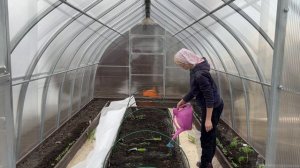 ВСХОДЫ В ТЕПЛИЦЕ/ПЕРВЫЕ ПОСАДКИ/ВЕЧЕР В ДЕРЕВНЕ