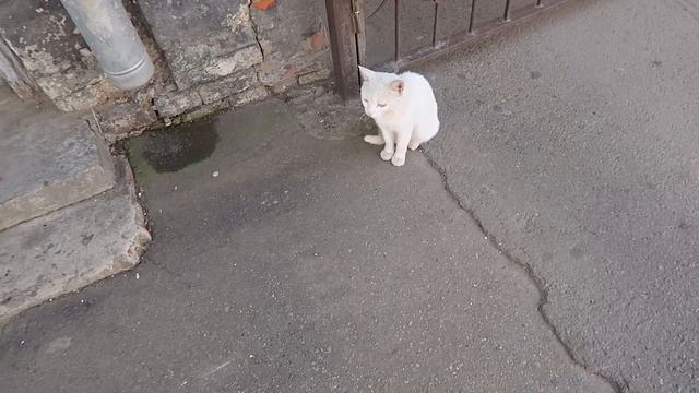 КАК ПРИСЛУШАТЬСЯ К ЗНАКАМ СУДЬБЫ [CAMvsMAN] смотреть онлайн