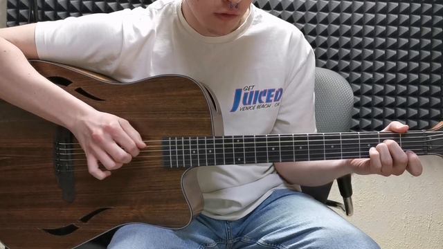 Обзор гитары SQOE Sq-fs