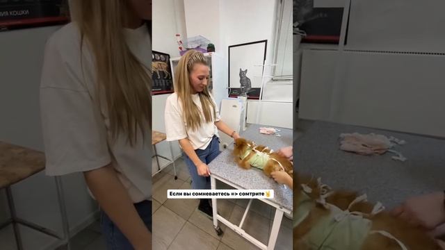 Если вы еще сомневаетесь, тогда вам к нам Нас советуют, мы лучшие!#иркутск38 #иркутск38 #витаген # смотреть онлайн