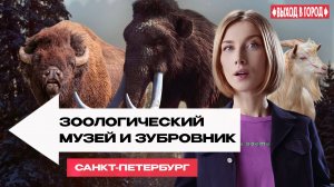 Слоны старше мамонтов? Ташэ кормит зубров и изучает зоологию в третьем выпуске «Выхода в город»