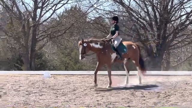 Dressage Test A/B Intro • Stillwater Dressage Show • Valley View
