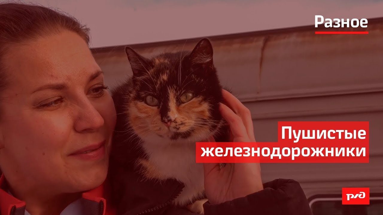 Пушистые железнодорожники смотреть онлайн