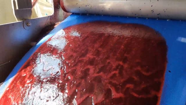 Уборка с пользой