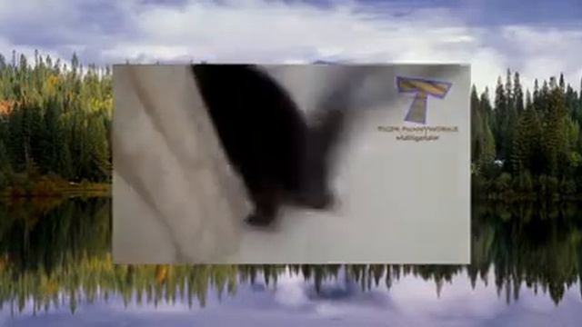 коты не любят мыться Cats just don't want to bathe смотреть онлайн