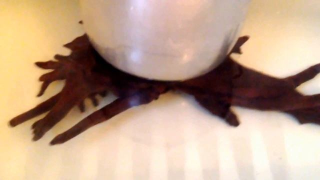 How to get driftwood to sink! Fast and easy! смотреть онлайн