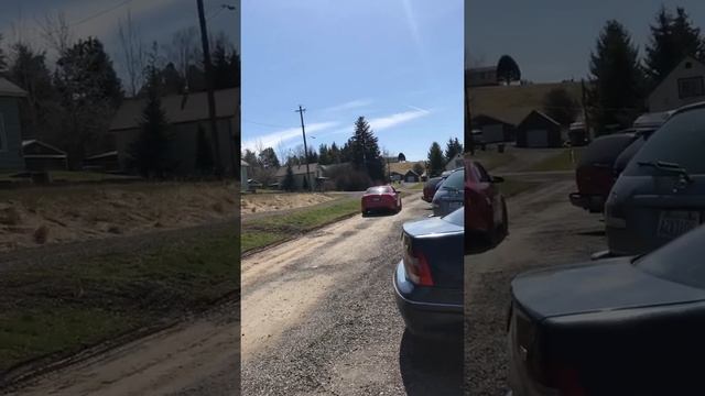 Audi s4 disturbs the neighbors dogs смотреть онлайн