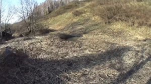 Заброшенная деревня в Сибирской тайге.\ Дикие звери обживают дома.\ Поход с ночёвкой 2020.