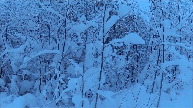 С Рождеством и новым годом! смотреть онлайн