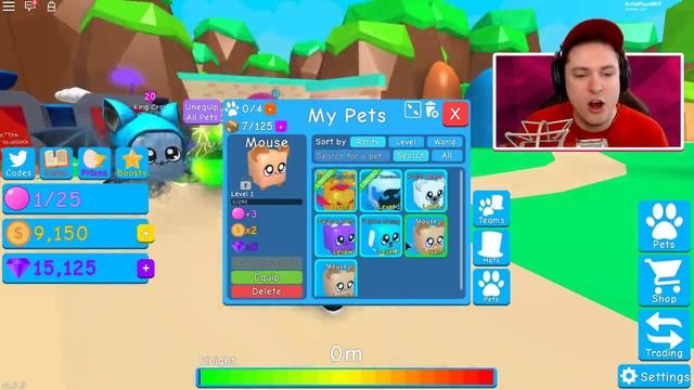 ALL 48 BUBBLE GUM SIMULATOR SECRET PET CODES! Roblox смотреть онлайн